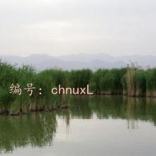 ʵ¼